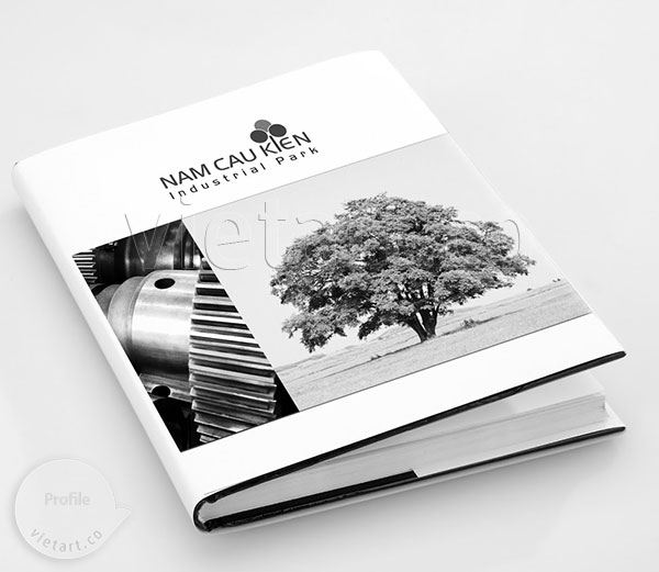 thiết kế profile nam cau kien