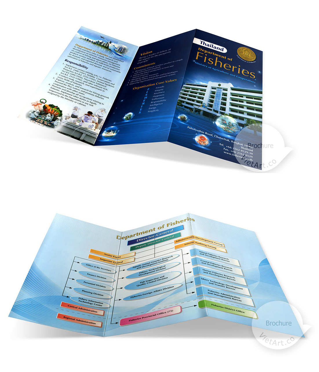 Brochure đẹp, thiết kế brochure